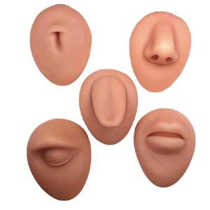 人体五官模型穿刺穿孔硅胶耳朵模型鼻子舌头肚脐眼睛嘴巴人体五官