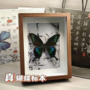 真蝴蝶标本相框装饰摆件古风节日生日情侣手工创意小众礼物