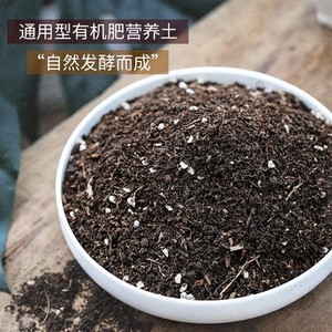 长寿花专用 营养土通用型花肥料泥炭草炭土养花种花透气