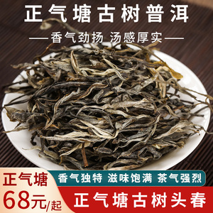 正气塘 云南普洱茶生茶散茶古树茶高端生普洱散装头春茶古300茶叶