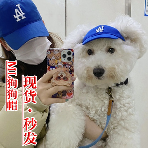柯基犬帽子 柯基犬帽子品牌 价格 阿里巴巴