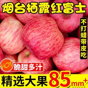 苹果水果山东烟台苹果红富士10新鲜当季水果斤整箱脆甜包邮冰糖心
