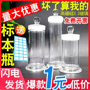 加厚料透明 玻璃标本瓶标本缸植物样品瓶展示瓶福尔马林液浸泡瓶