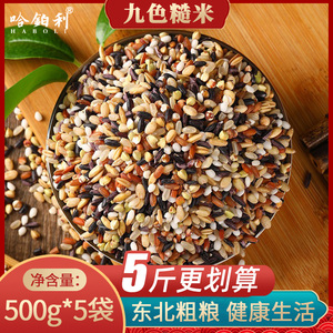 2023新黑龙江五常九色糙米五谷杂粮米组合粗粮七三十一色健身