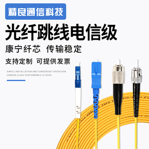 电信级单模多模光纤跳线SC转LC-FC-ST单芯双芯万兆铠状尾纤3米5米