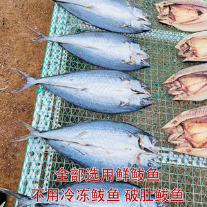 鲁昭洋甜晒鲅鱼淡晒鲅鱼干一卤鲜马鲛鱼干货不咸青岛海鲜水产