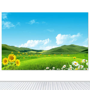 蓝天白云自然风景墙贴辽阔的草原壁画草地向日葵装饰画卧室背景画