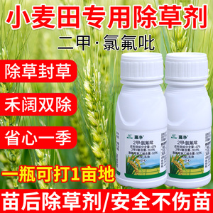 2甲氯氟吡氧乙酸农药安全型不伤小麦封闭药小麦田苗后专用除草剂