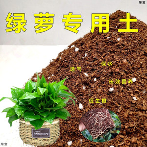绿萝专用土不易板结吸毒绿植培植土壤弱酸性花卉盆栽通用型营养土