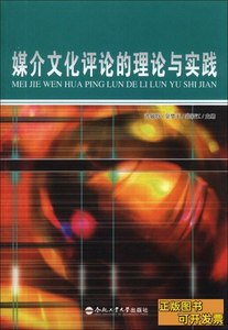 媒介文化评论的理论与实践 金梦玉主编；沈敏特/合肥工业大学出版