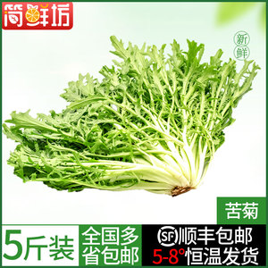 【简鲜坊】苦菊 新鲜狗牙蔬菜苦苣苦叶生菜沙拉食材 1/3/5斤包邮