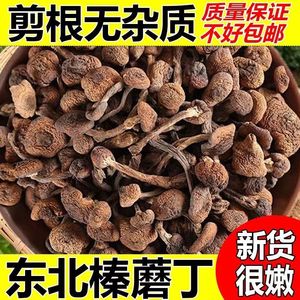 东北野生榛蘑干货小鸡炖蘑菇新货商用榛蘑长白山土特产无根榛蘑丁