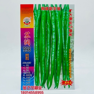 苏润998特长绿色线椒条椒种子早熟抗病膨果快中辣基地种植高产