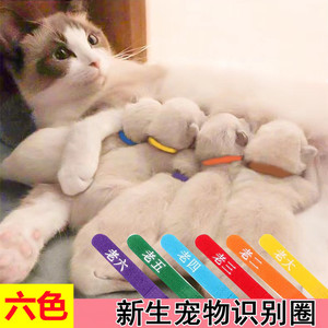 宠物识别圈刚出生记号带猫咪标记新生小奶猫幼猫项圈分辨狗狗脖圈