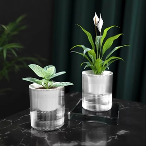懒人绿萝植物自动吸水花盆透明水培器皿塑料玻璃水养花瓶吊兰专用