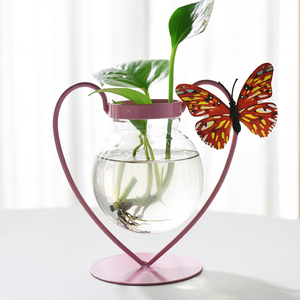 创意水养植物绿萝水培花瓶玻璃透明花盆器皿插花瓶子容器桌面摆件