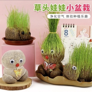 创意草头娃娃趣味绿植室内盆栽好玩好养清新空气绿意生活水培植物