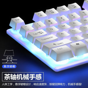 雷迪凯（LDK.al）R260机械手感键盘鼠标套装有线LOL吃鸡游戏发光