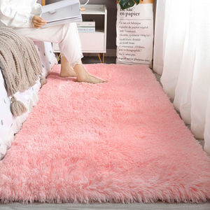 加厚地毯卧室可爱少女房间满铺网红ins风床边毯客厅茶几家用地垫
