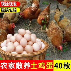 【新鲜现捡】正宗农家土鸡蛋营养草鸡蛋笨鸡蛋柴鸡蛋包邮新鲜散养