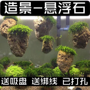 鱼缸摆件石阿凡达石天然轻石莫斯水草悬空石鱼缸装饰造景