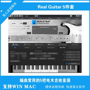 real guitar 5 吉他音源5件套 vst插件电木电吉他音色 PC MAC 4/5