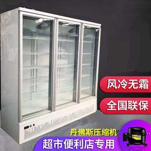 风冷玻璃门展示柜大容量豪华款啤酒饮料冷藏柜冻肉鸡鱼海鲜冷冻柜