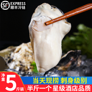 【5斤装】连云港生蚝鲜活海蛎子海鲜特大牡蛎贝壳水产包活营养
