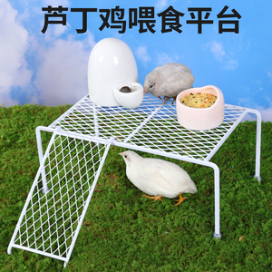 芦丁鸡造景平台喂食喂水饲养用品网格镂空爬梯餐桌分层置物架套餐
