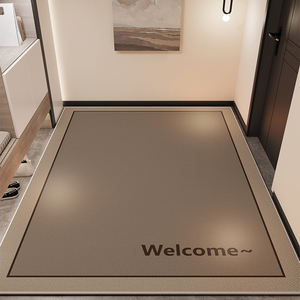 入户门地垫2024轻奢高级咖色高端进门口地板可擦免洗门垫天津地毯
