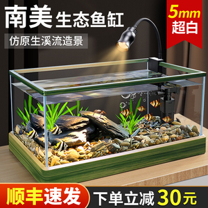溪流缸超白缸客厅小型原生家用全套造景观赏玻璃桌面新款生态鱼缸