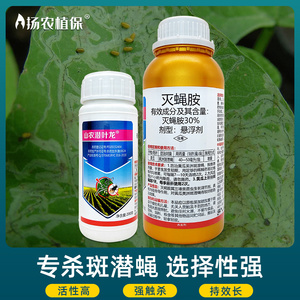 美洲斑潜蝇专用药30%灭蝇胺地图虫鬼画符黄瓜蔬菜杀虫剂农药大全