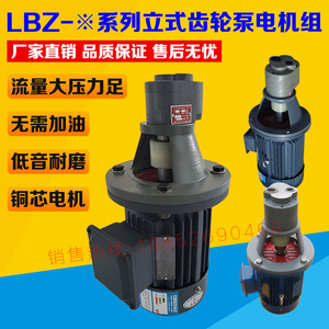 LBZ-10/6/4/16/25/40/63/100/125/160立式齿轮油泵电机组CB-B10JZ