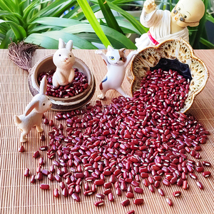 卡贝农食用赤小豆50克泡水花茶搭配薏米茯苓芡实泡水非红豆袋装