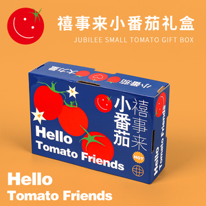 高档千禧圣女果小番茄包装盒礼盒西红柿2-5斤天地盖礼品盒纸箱