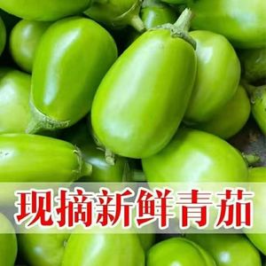 河南农家自种新鲜青茄子3-9斤包邮食用蔬菜绿茄子茄子圆茄子长茄