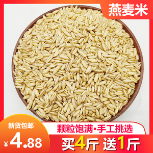 燕麦米500g 全胚芽燕麦米仁五谷杂粮粗粮新货农家燕麦仁