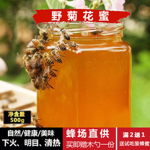 野菊花蜜结晶纯活性蜂蜜泡茶清热下火明目天然食品无添加原蜜500g