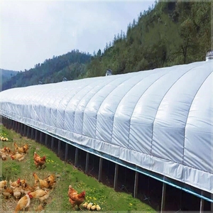 大棚骨架 钢管 养殖鸡农业塑料棚架家用温室庭院保温棚暖房架养鸡