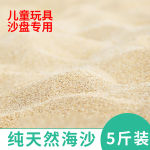 海沙天然细沙儿童玩具沙滩沙子鱼缸造景细沙子天然沙乌龟专用冬眠