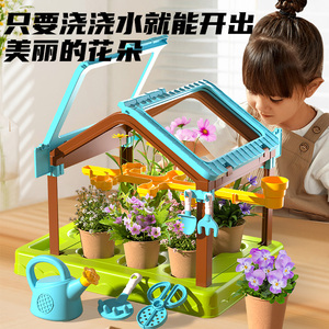 六一节阳光种植房儿童植物小盆栽女孩益智玩具手工diy品生日礼物