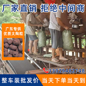【广东发货】厂家直销轻质陶粒回填卫生间工程建筑垫底铺面大颗粒