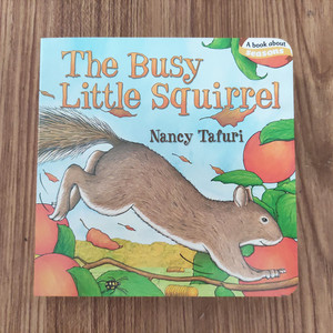 Nancy Tafuri凯迪克大奖名家英语纸板书The Busy Little Squirrel