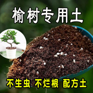 榆树专用营养土 榆树专用土 盆栽通用型种花养花绿植种植土有机土