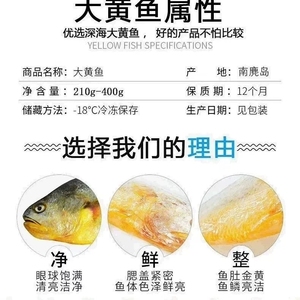 温州特产南麂岛黄鱼鲞 半干鲜卤味生态大黄鱼 真空包装260g310g