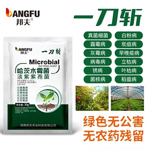 邦夫一刀斩哈茨木霉微生物菌剂菌淡紫紫孢菌真细抗重茬蔬菜肥次黑