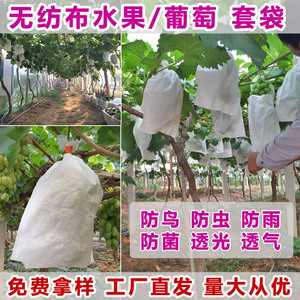 无纺布水果套袋露天葡萄套袋防水果实育果保护袋防虫鸟果蝇袋莲雾