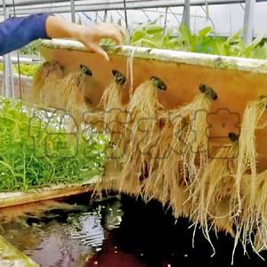 水培蔬菜设备种植漂浮泡沫板无土栽培大棚水稻定植板工程鱼塘项目