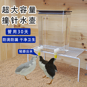 芦丁鸡饮水器自动喂食器鸟用食盒食槽防撒撞针喂水器防污超大容量