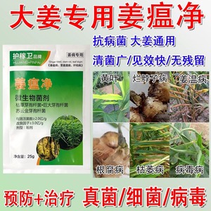 姜温病专用药枯萎烂脖子病生姜黄叶靑枯病姜瘟净大姜生姜药根腐灵